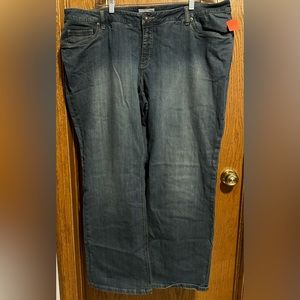 COPY - Coldwater Creek size 24W jeans
